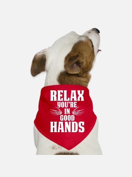 physiotherapist - Dog Bandana - red - Front