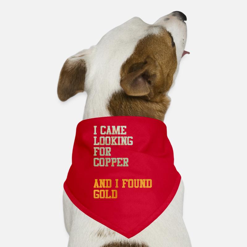 Kupfer Gold Schatz Schatzsuche Geschenkidee Meme Hunde-Bandana