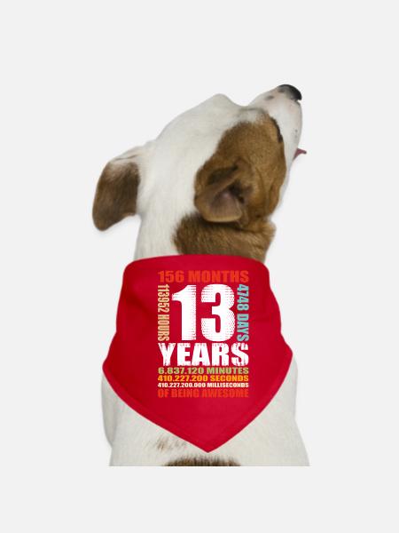 13ème anniversaire 13 ans Garçons Filles Chemise - Bandana pour chien - rouge - Devant
