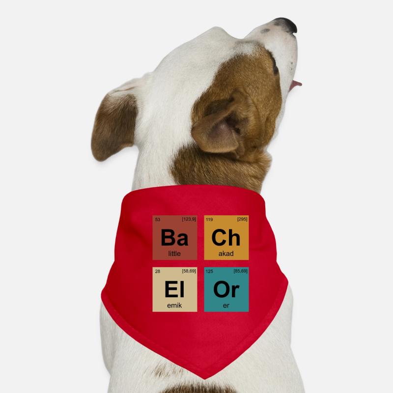 Bachelorabschluss Bachelor of Science Bachelor Hunde-Bandana