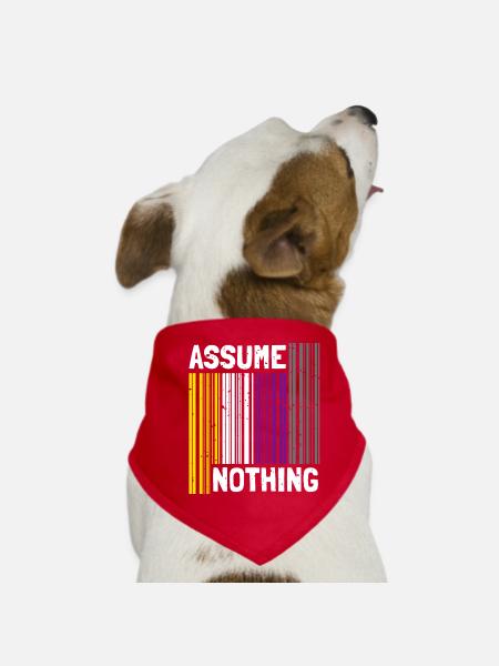 Nonbinary I LGBT Pride I Flag Barcode I Assume - Hunde-Bandana - Rot - Vorne