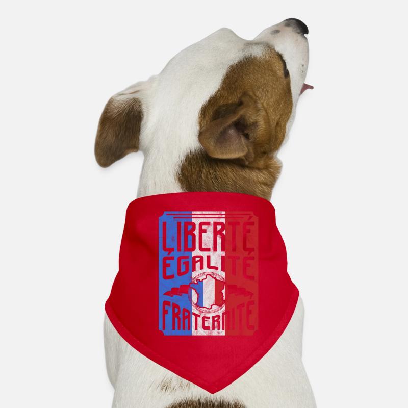 Frankreich Hunde-Bandana