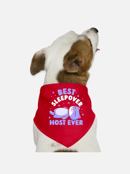 Bester Übernachtungs Gastgeber Aller Zeiten Party - Hunde-Bandana - Rot - Vorne