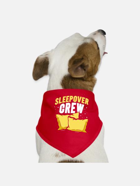 Nuit en équipe Nuitée - Bandana pour chien - rouge - Devant