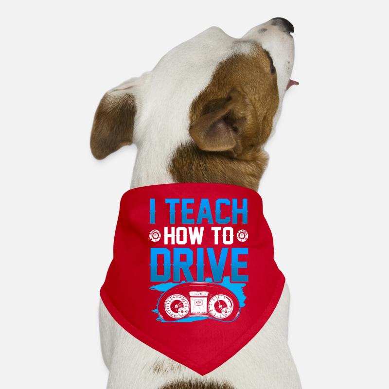 J’apporte la conduite à l’école de conduite Driving Instructor Bandana pour chien