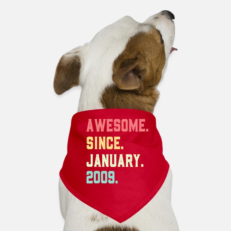 Großartig seit Januar 2009 Hunde-Bandana