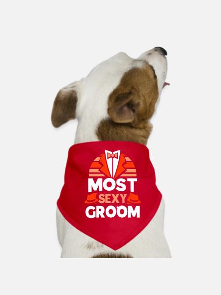 Sexy Groom Dictons Party Mariage Mariage - Bandana pour chien - rouge - Devant
