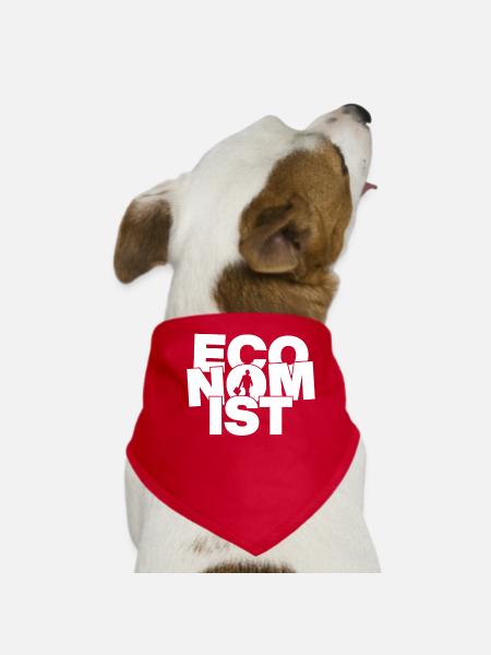 Wirtschaft Beruf Job Arbeit - Ökonom - Hunde-Bandana - Rot - Vorne