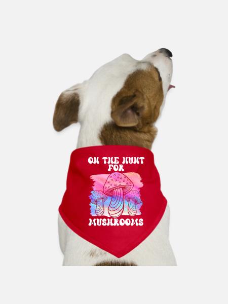 In search of mushrooms Mushroom pickers Mushrooms - Dog Bandana - red - Front