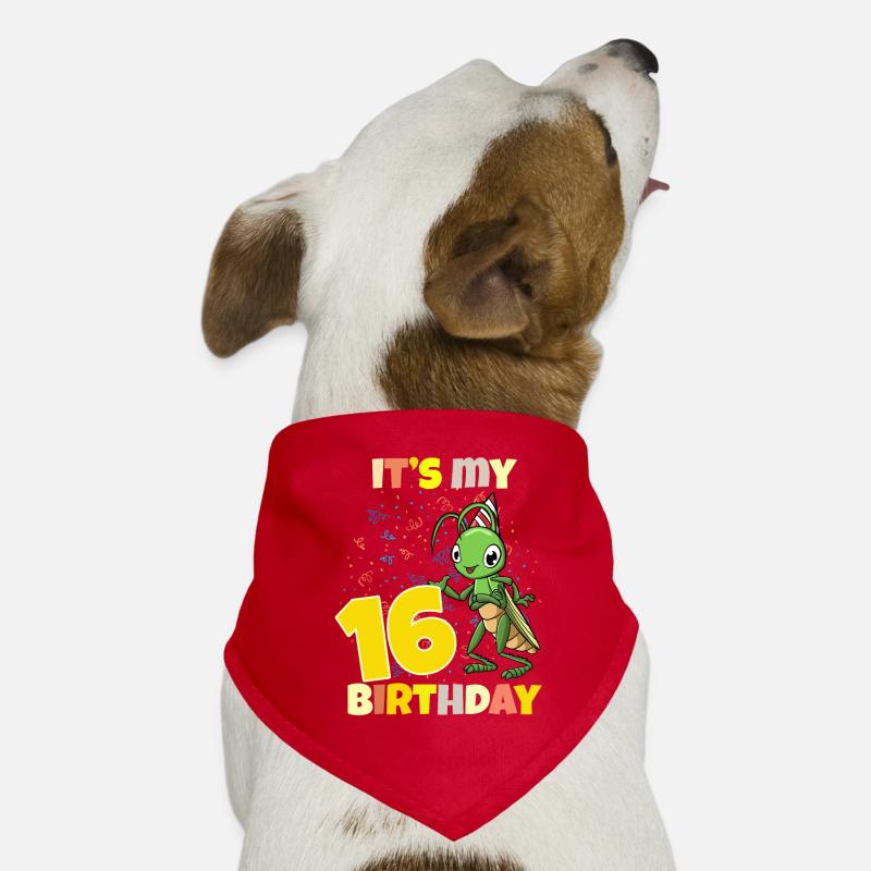 C’est ma sauterelle de 16 ans Bandana pour chien