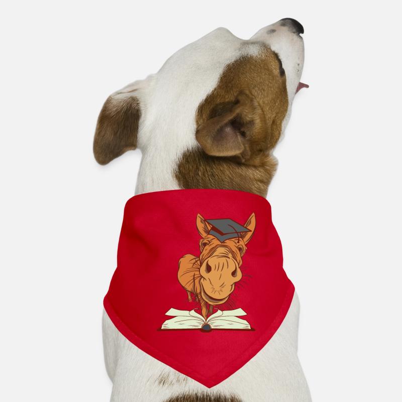 Donkey mule enrollment first grader clever Dog Bandana