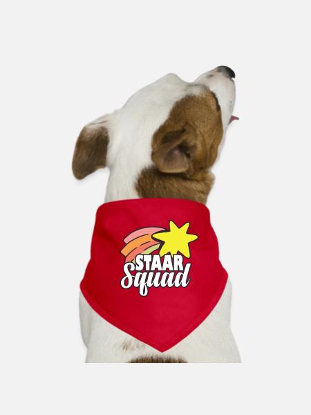 Funny Staar Squad Test Day Teacher Exam Day - Hunde-Bandana - Rot - Vorne