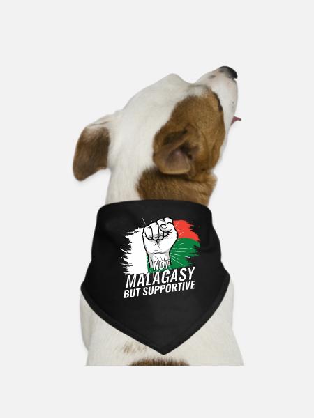Pas malgache mais favorable au drapeau de Madagascar - Bandana pour chien - noir - Devant