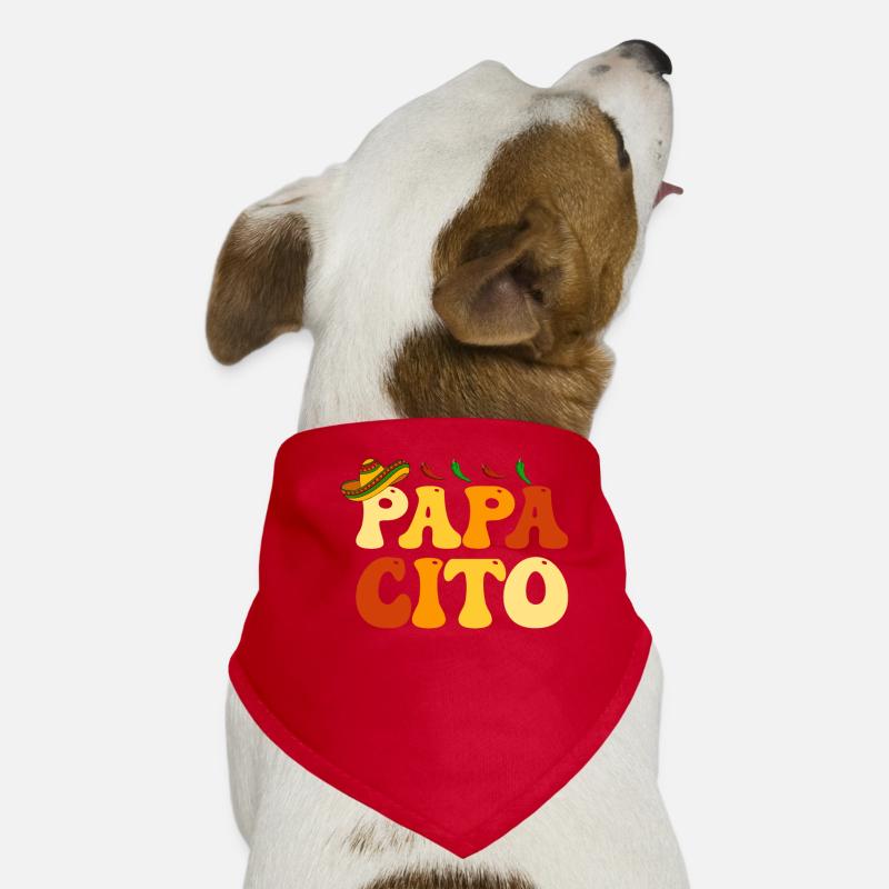 Cinco de Mayo Bandana pour chien