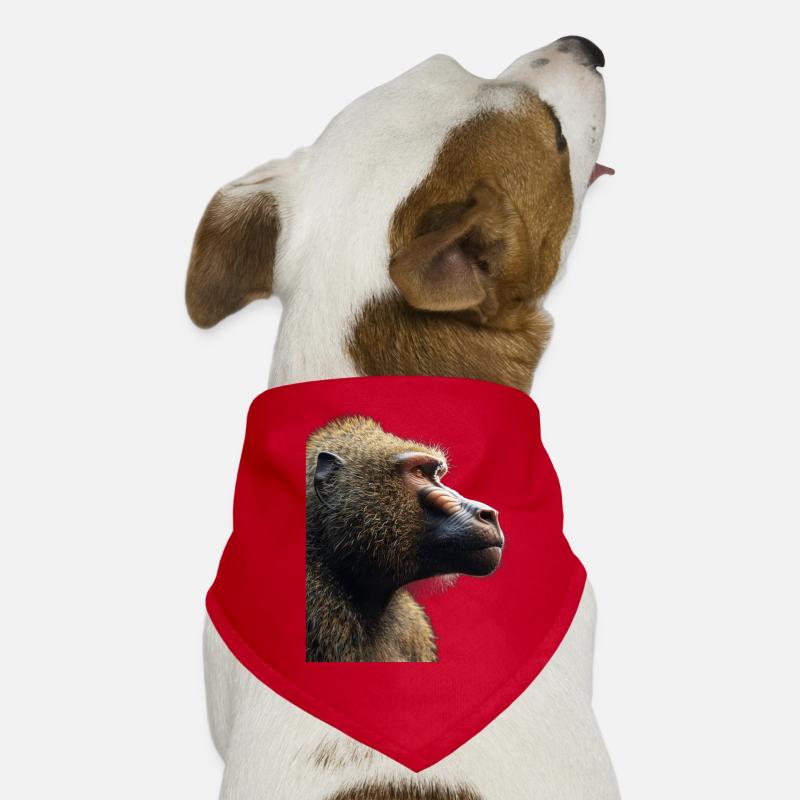 Babouin Bandana pour chien