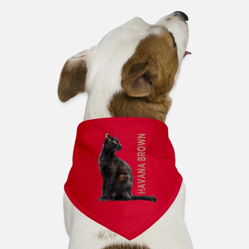 Brun Havane Bandana pour chien