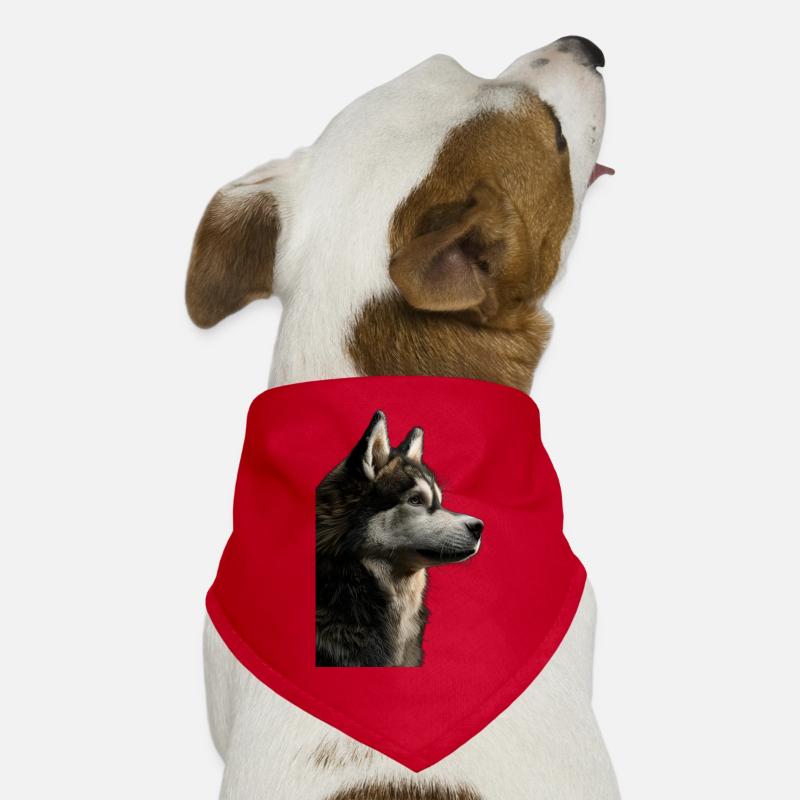 Malamute d’Alaska Bandana pour chien