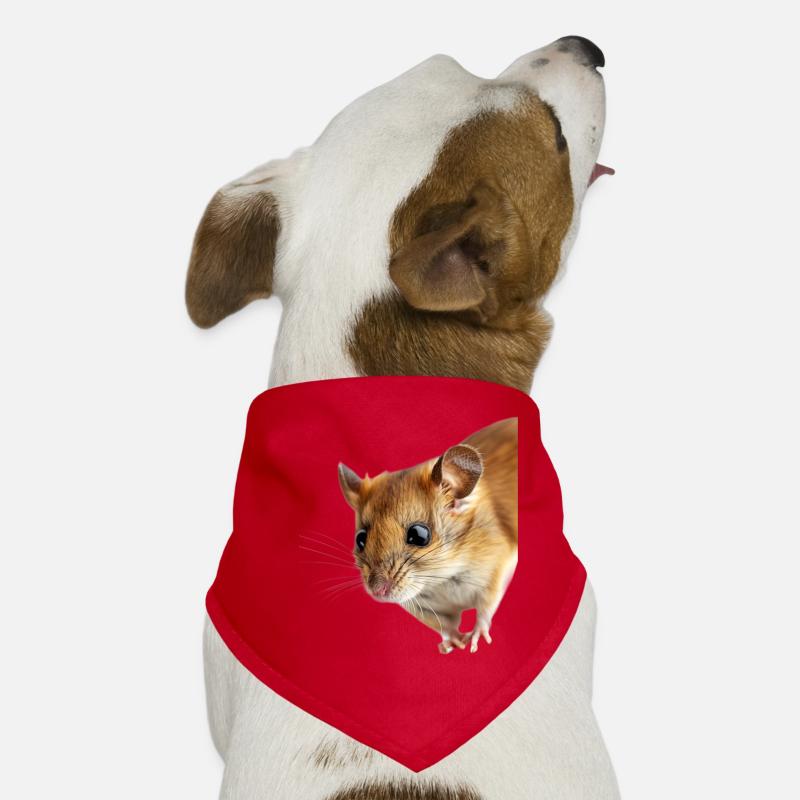 Loir Bandana pour chien