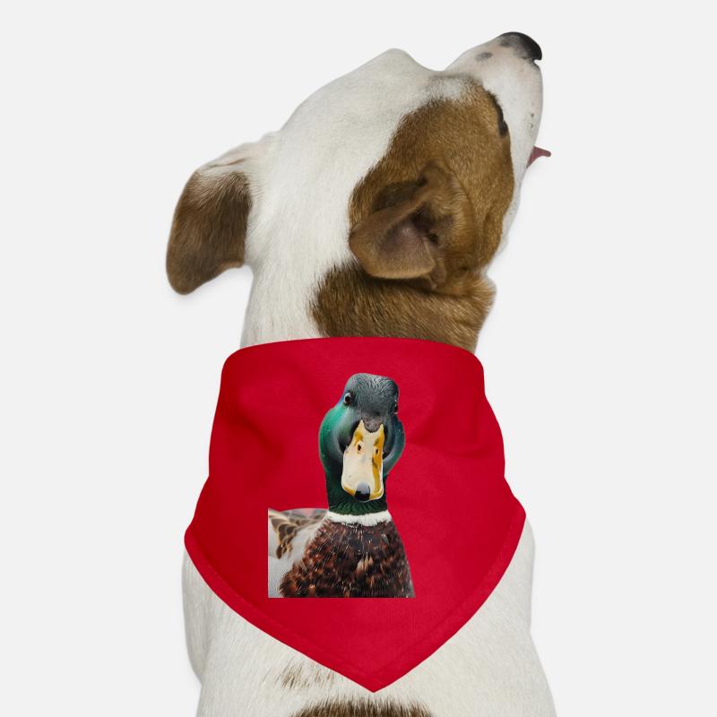 Duck Dog Bandana