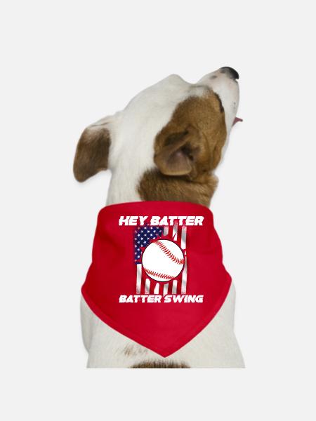 Baseball Sport Baseballspieler Pitcher Catcher USA - Hunde-Bandana - Rot - Vorne
