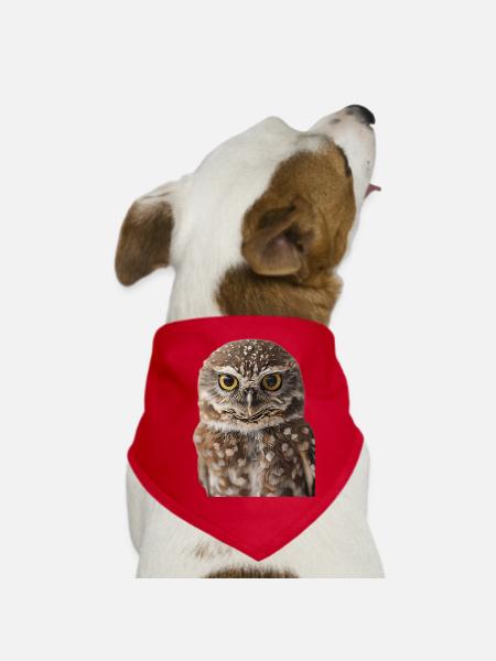 Eule - Hunde-Bandana - Rot - Vorne