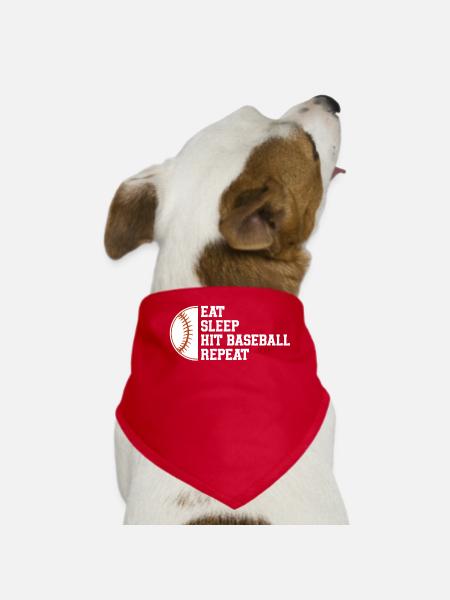 Baseball Sport Baseballspieler Pitcher Catcher USA - Hunde-Bandana - Rot - Vorne