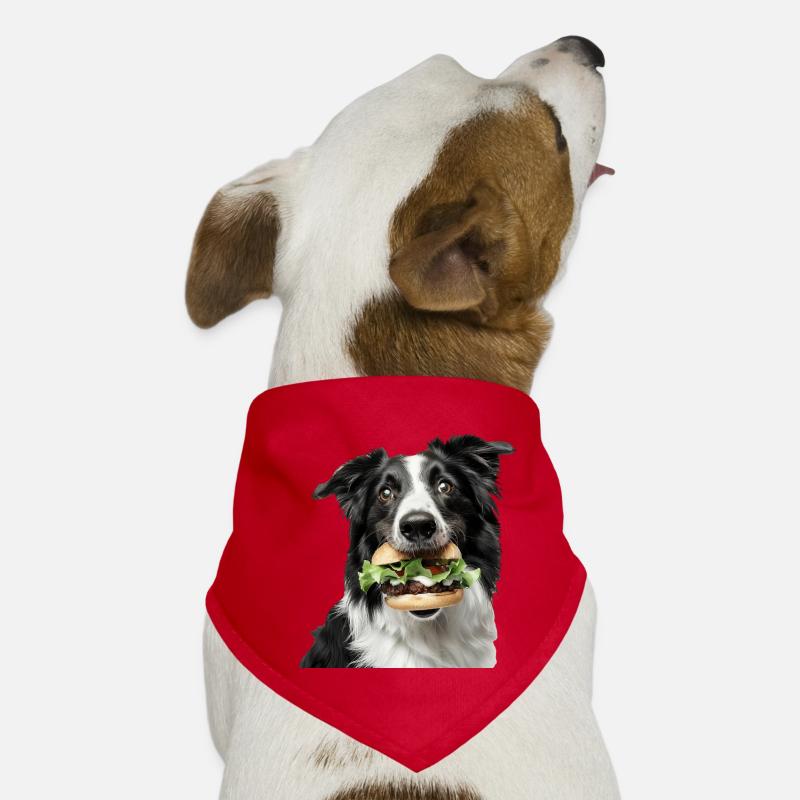 Border Collie Bandana pour chien