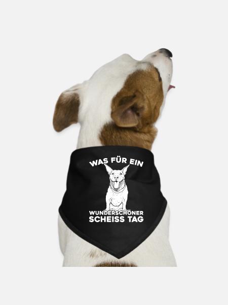 Bull Terriers, please keep your mouth shut - Dog Bandana - black - Front