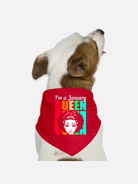 Zodiac sign Aquarius - Dog Bandana - red - Front