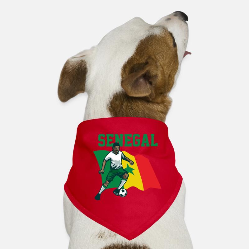 Sénégal Afrique Idée cadeau Bandana pour chien