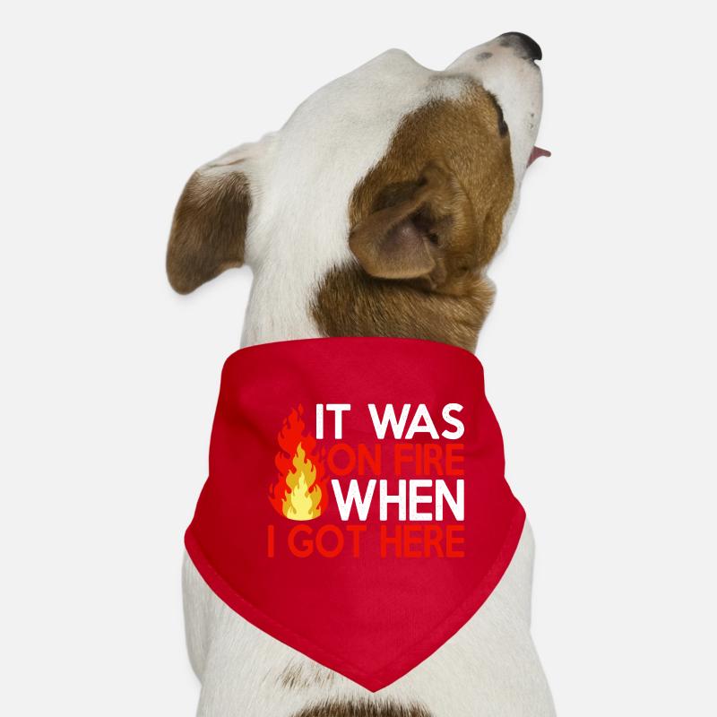 It Was On Fire When I Got Here 10 Hunde-Bandana