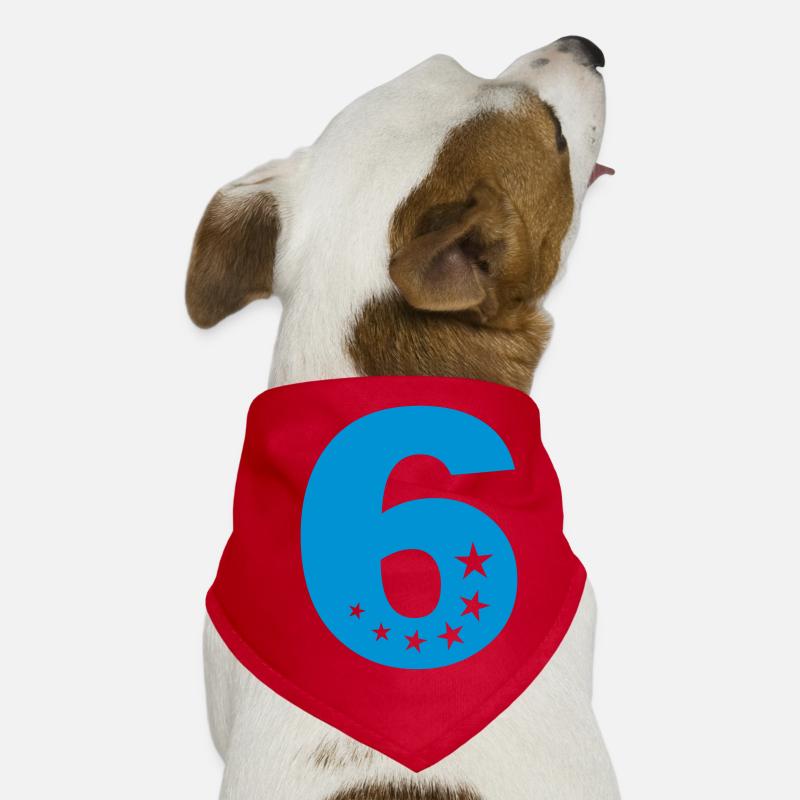 6th birthday Dog Bandana