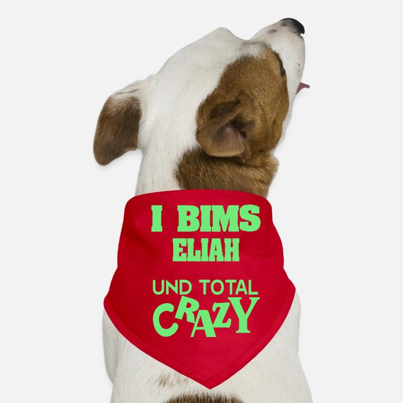 Elijah as a given name Dog Bandana
