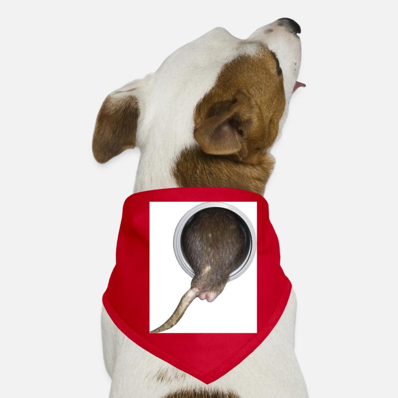 Ratte im Rohr hinter Hunde-Bandana