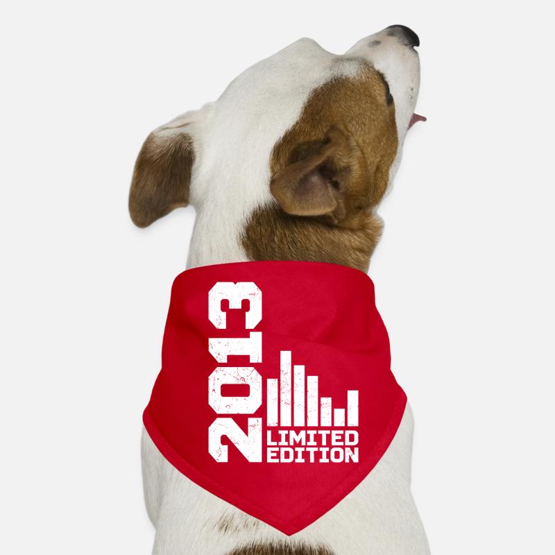 Vintage 2013 Geburtstagsgeschenk 2013 Baujahr 2013 Hunde-Bandana