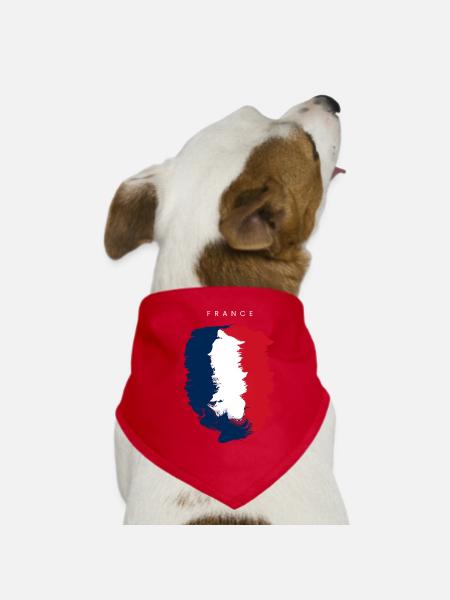France outfit - Dog Bandana - red - Front