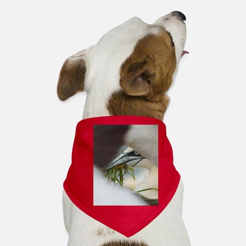 A Gannet framed but other Gannets Dog Bandana