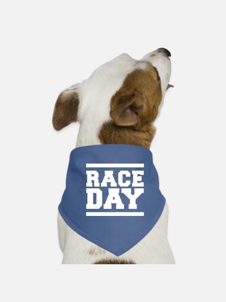 race day Formula Autorennen Symbol Logo icon - Hunde-Bandana - Rot - Vorne