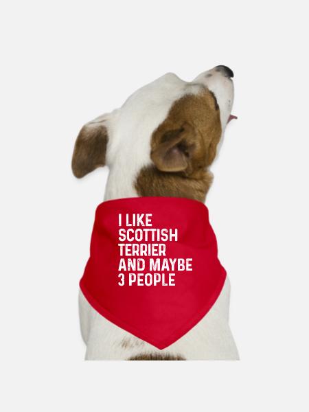 I Like Scottish Terrier And Maybe 3 People Dog - Dog Bandana - red - Front