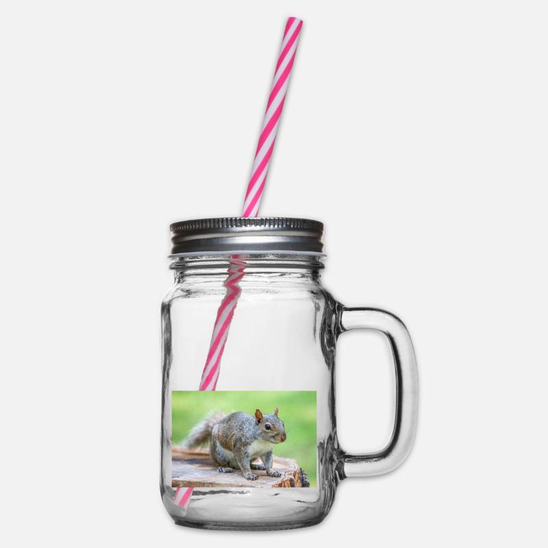 Grauhörnchen Sciurus carolinensis - Henkelglas mit Schraubdeckel - Klar