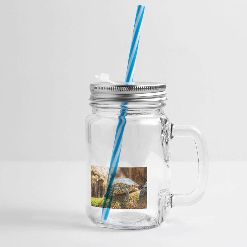 Trachemys scripta scripta scripta Bocal à boisson