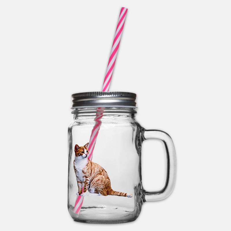 Chat Chat Chat Cat Cats Amour de chat - Bocal à boisson - transparent