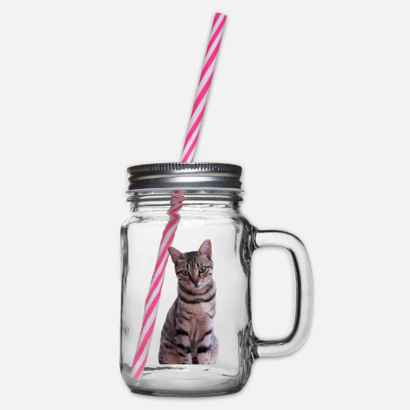 Katze Kätzchen - Henkelglas mit Schraubdeckel - Klar