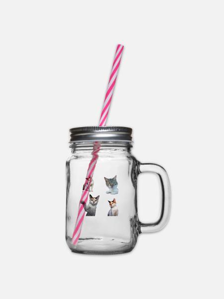 Packung Aufkleber Coole und niedliche Katzenkatzen - Henkelglas mit Schraubdeckel - Klar