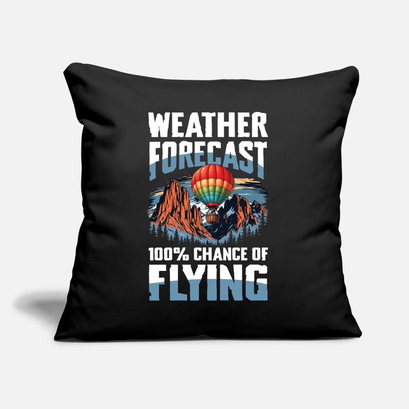 Prévisions météo : 100 % de chances de voler Coussin et housse de 45 x 45 cm