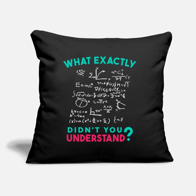 Physics Math Formula Joke Sofa pillow with filling 45cm x 45cm