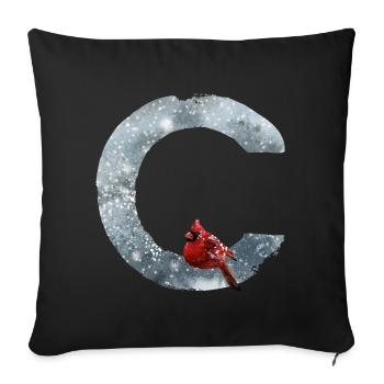 C – caractère décoratif – hiver - Coussin et housse de 45 x 45 cm - noir - Devant