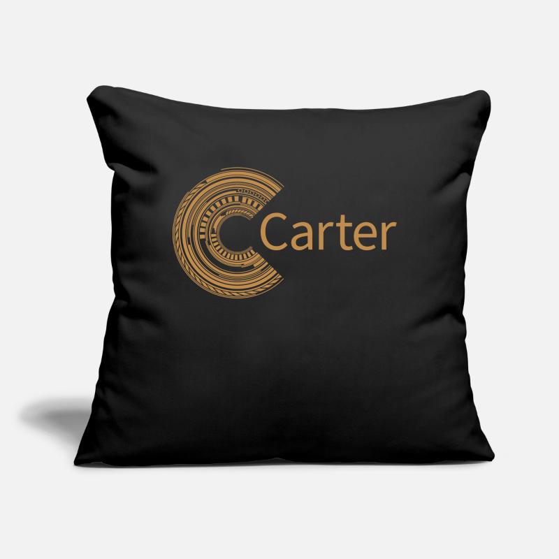 Pour Carter Coussin et housse de 45 x 45 cm