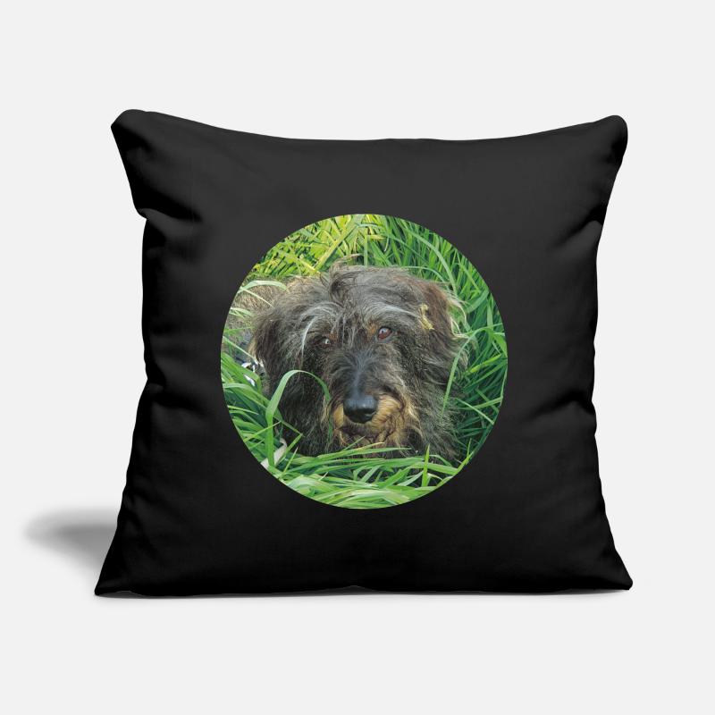 Teckel mignon à poil dur - teckel à poil dur teckel Coussin et housse de 45 x 45 cm