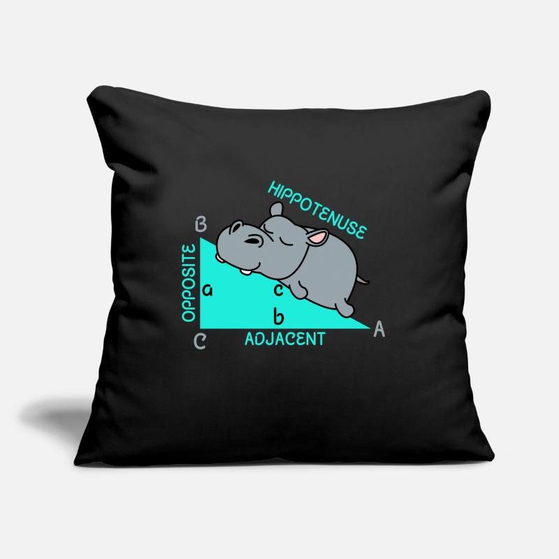 Hippoténuse math maths professeur de mathématiques blague Coussin et housse de 45 x 45 cm